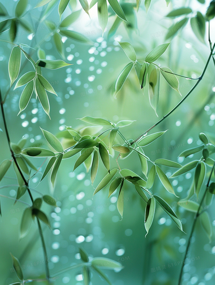 绿色植物玻璃水雾朦胧感背景