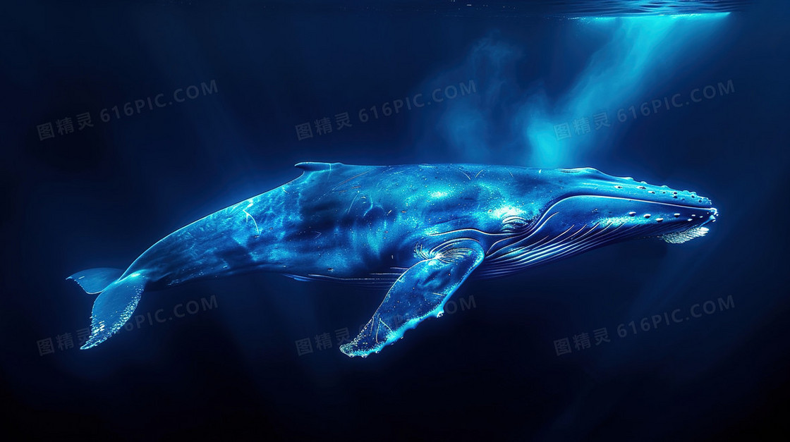 蓝色简约海洋鲸鱼背景
