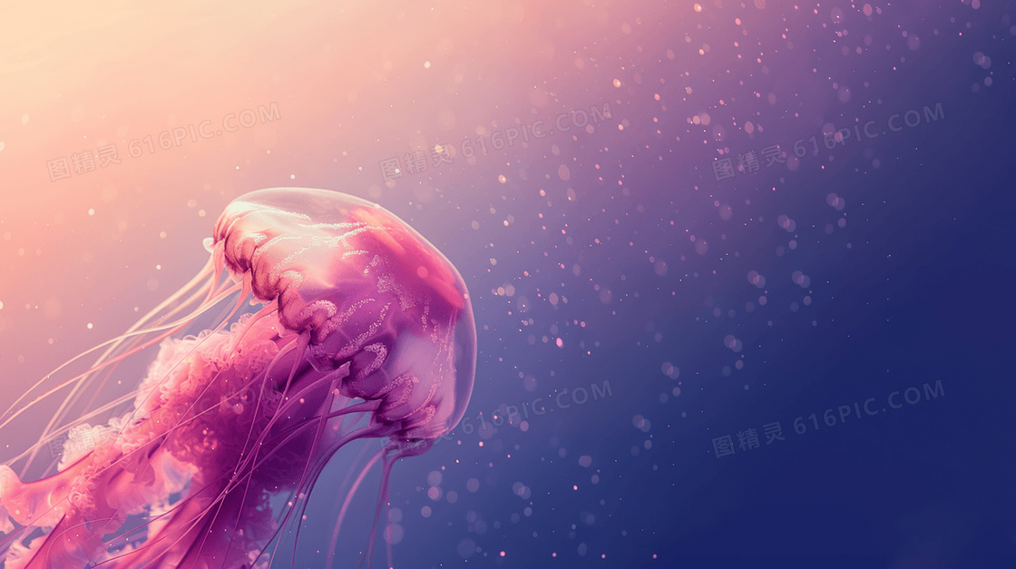 梦幻唯美浪漫水母背景