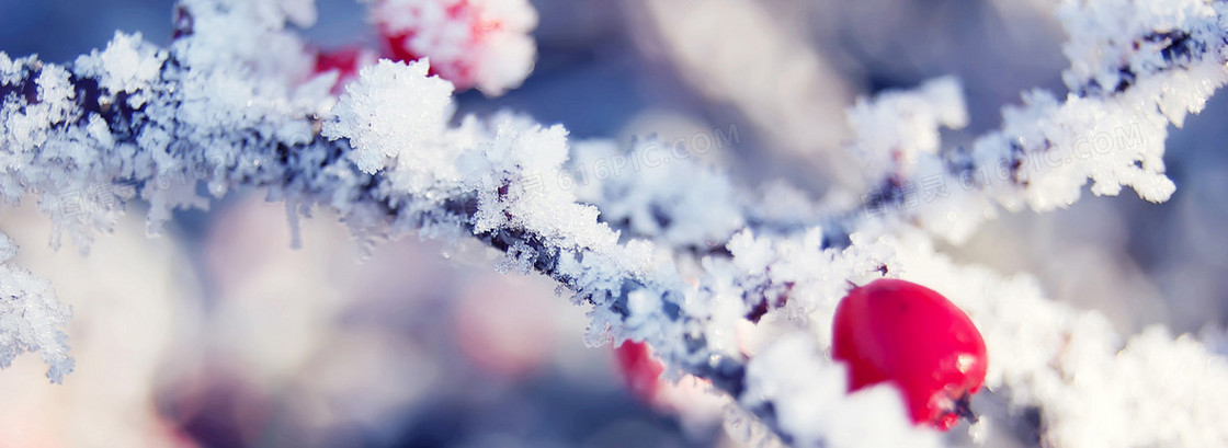 冬天雪景雪花背景