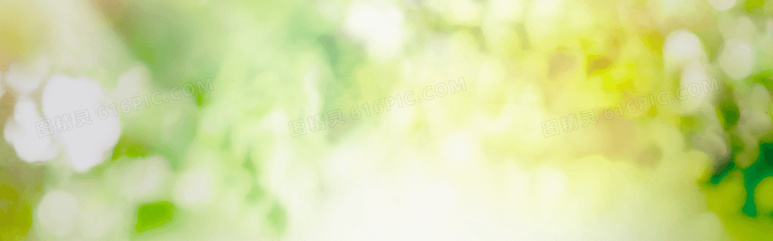 梦幻绿色背景 banner