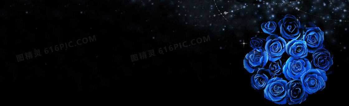 黑蓝色玫瑰唯美背景banner