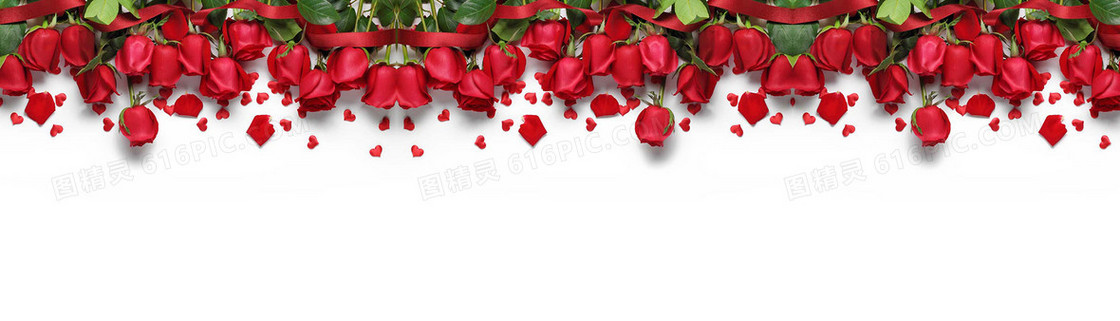 玫瑰花情人节背景