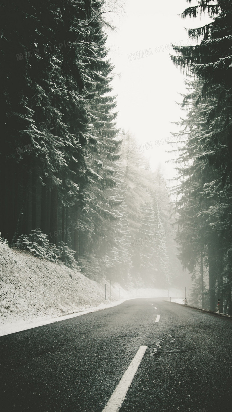 雪和巷道
