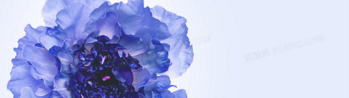 化妆品banner