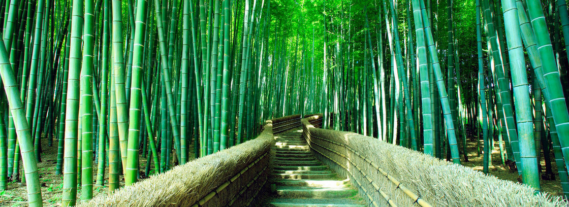 淘宝背景