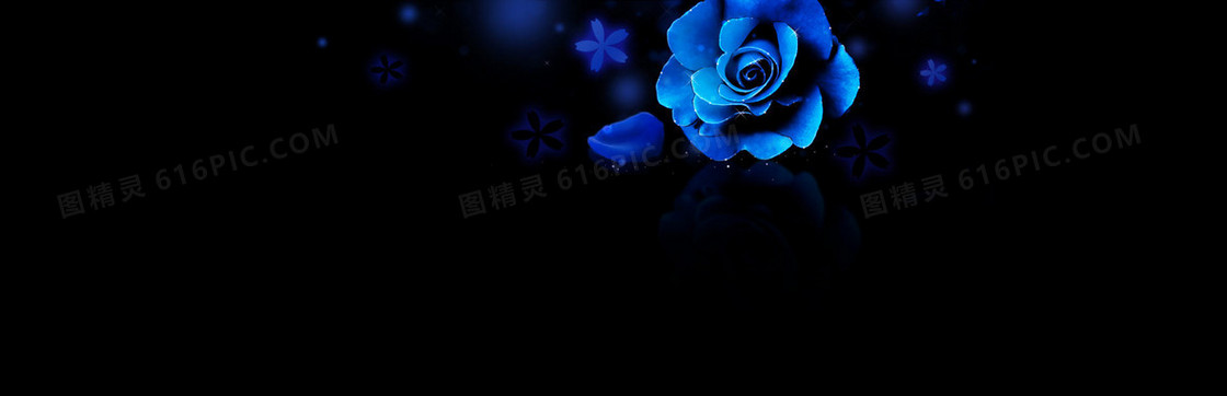 蓝色玫瑰花梦幻背景banner
