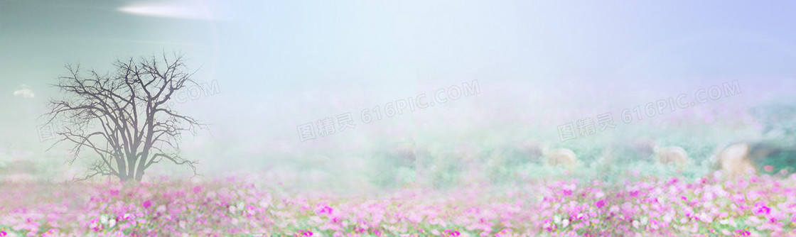 淘宝背景