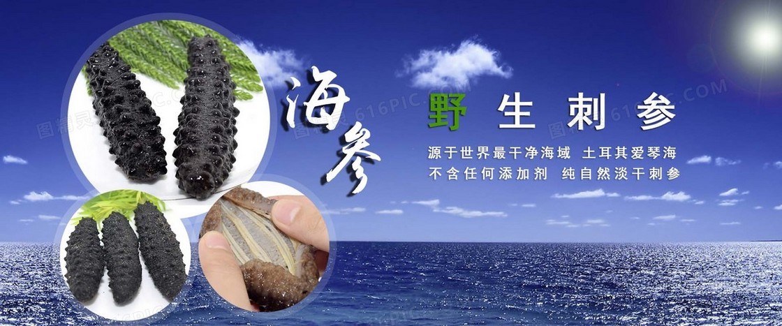 海参banner