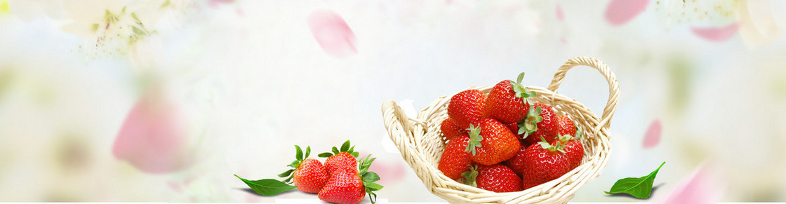 小清新banner背景