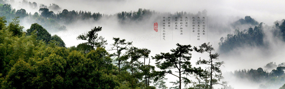 淘宝食材铺店铺banner背景