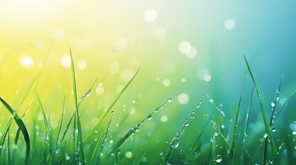 节气寒露露水和草合成背景