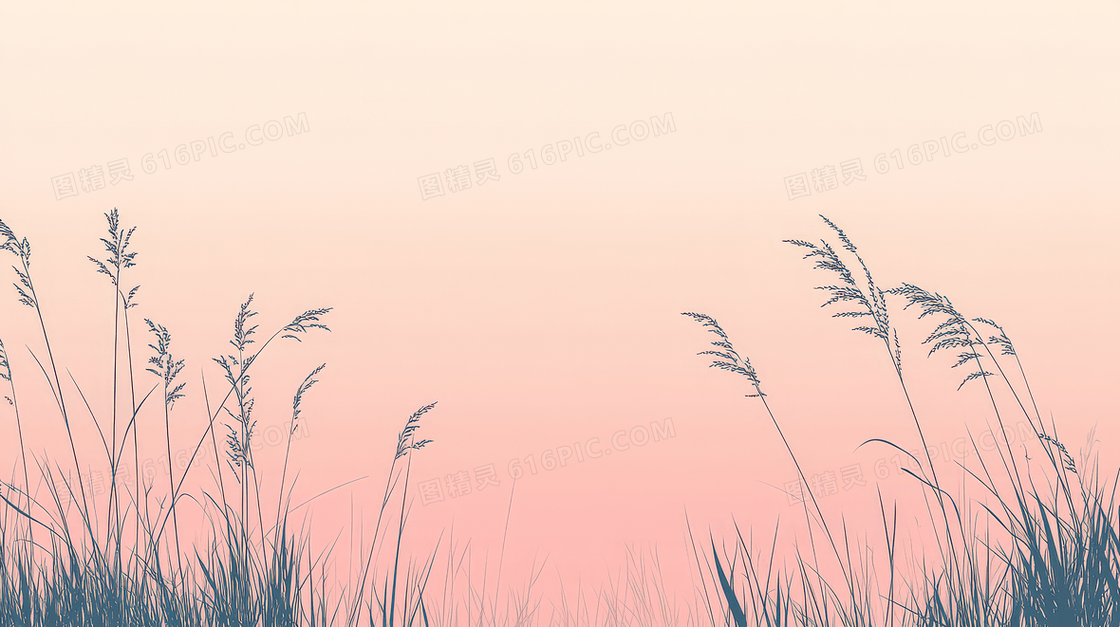 节气寒露芦苇渐变背景背景
