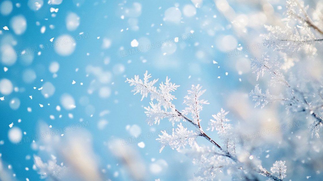 雪花中国风霜降节气背景