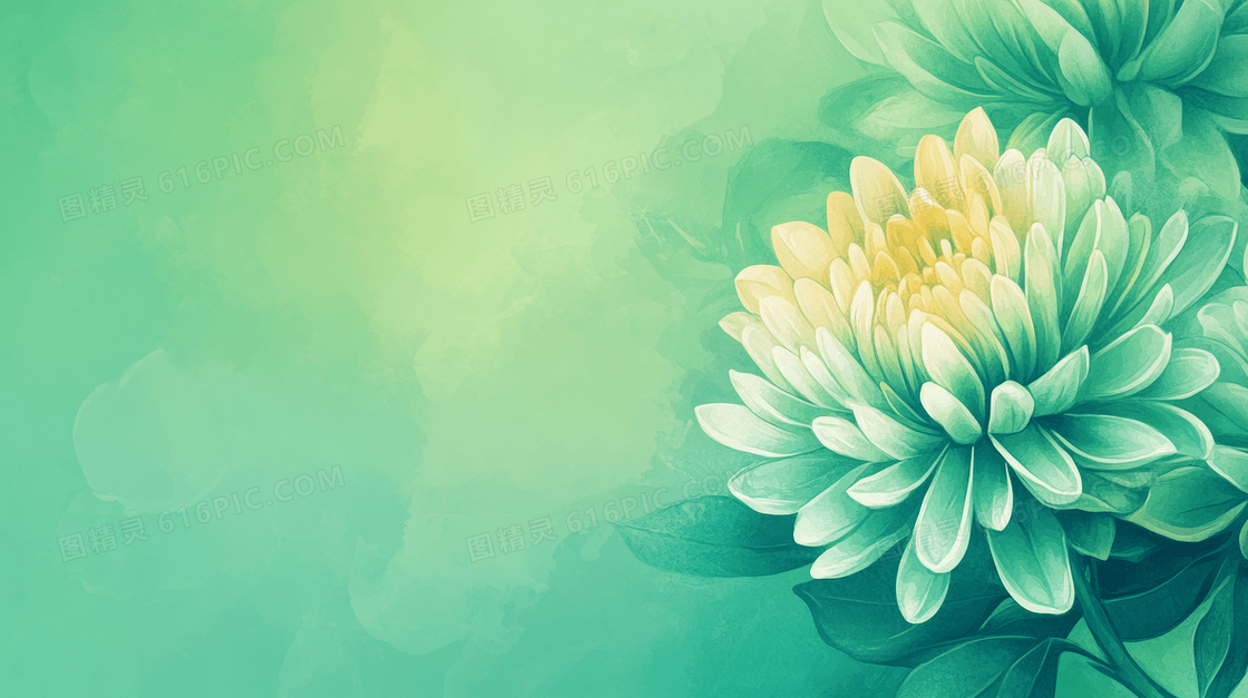 重阳节绿色菊花渐变背景