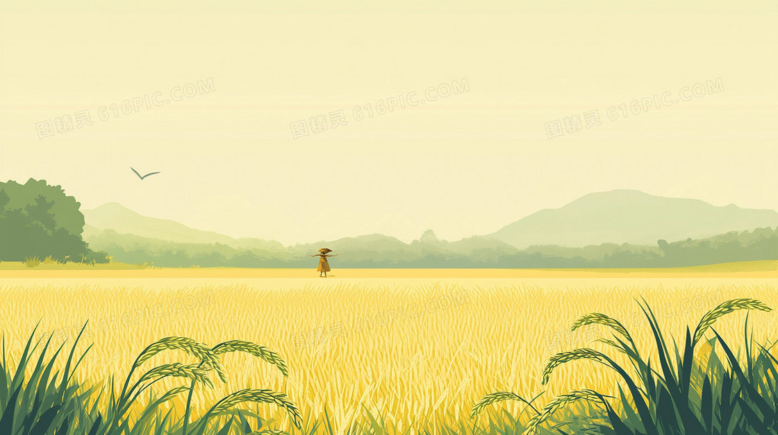 秋天麦田简约背景