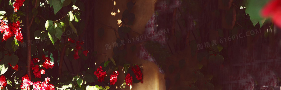 奢华欧美风女包包背景banner