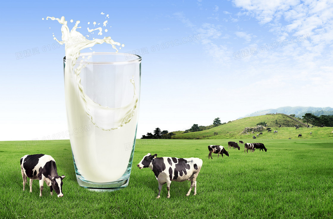 天然牧场牛奶海报背景素材