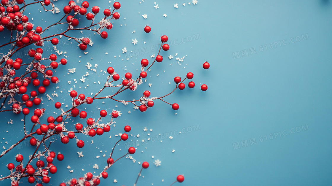 植物冬天雪景文艺背景