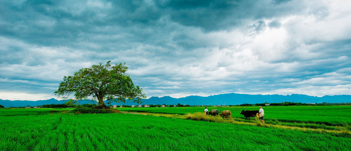 农民耕田背景