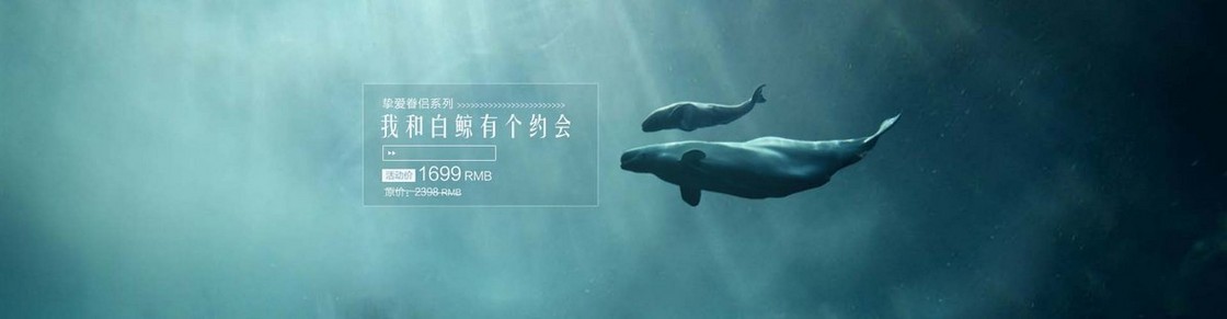唯美海底鲸鱼banner