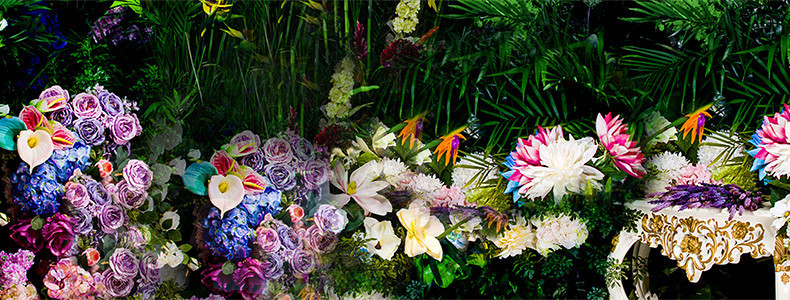 唯美花季