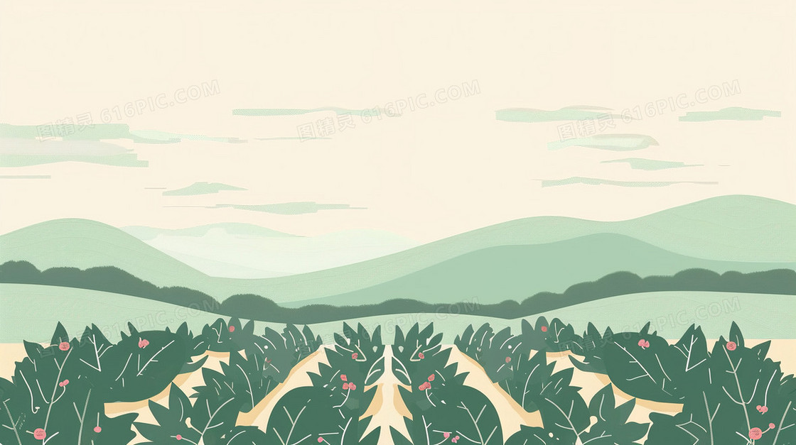 菜地农村农业三农背景