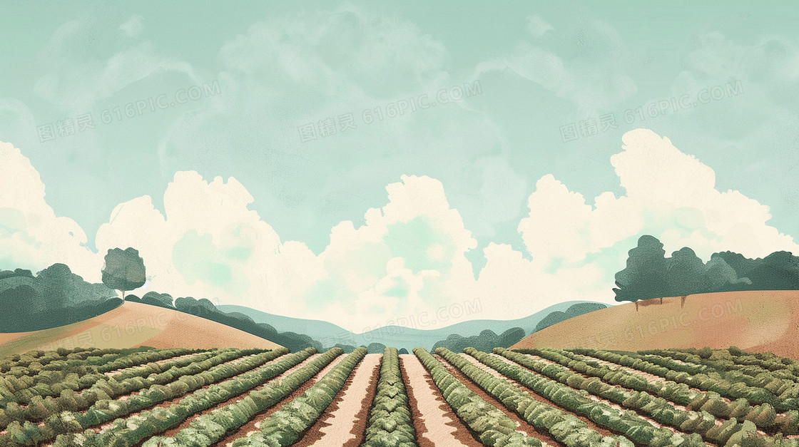 菜地农村农业三农背景