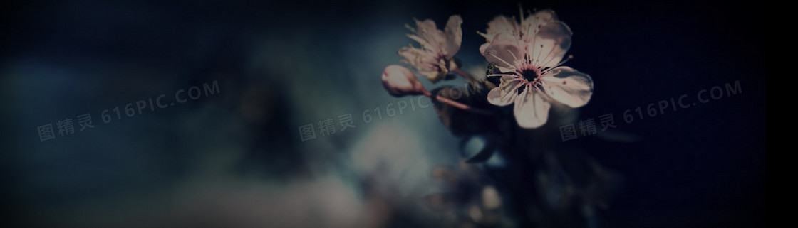 暗色桃花背景