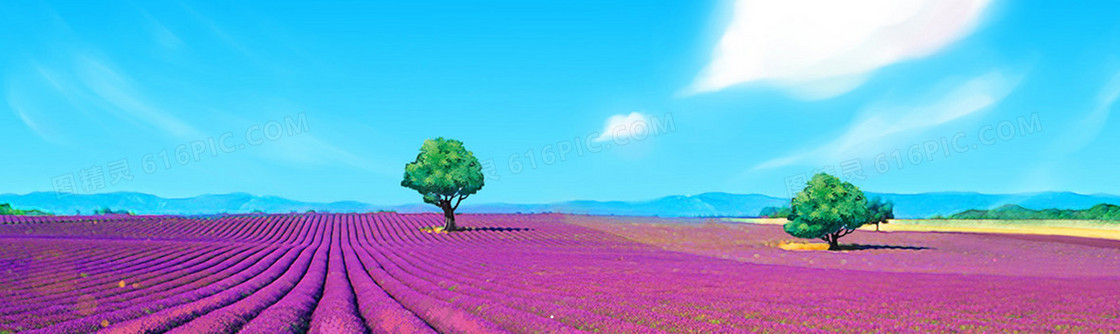 婚庆banner图