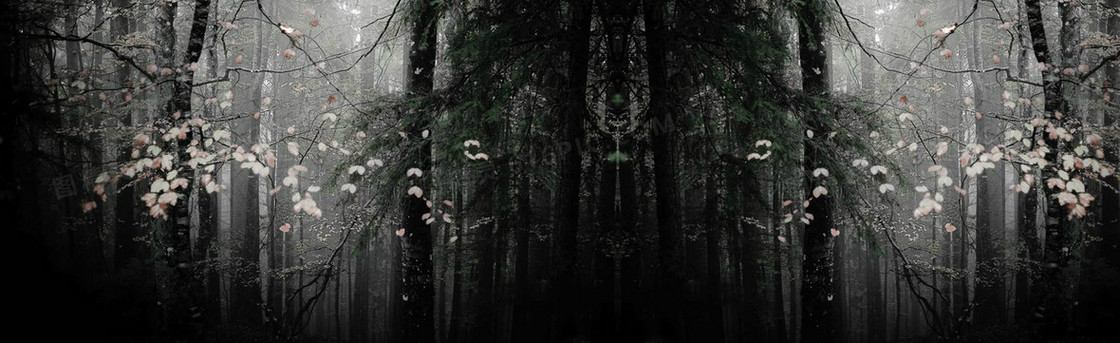 深色黑白树林唯美背景banner