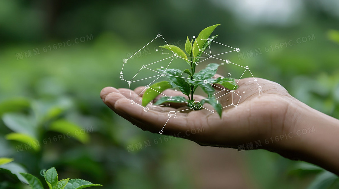 种植智慧农业三农农产品合成背景