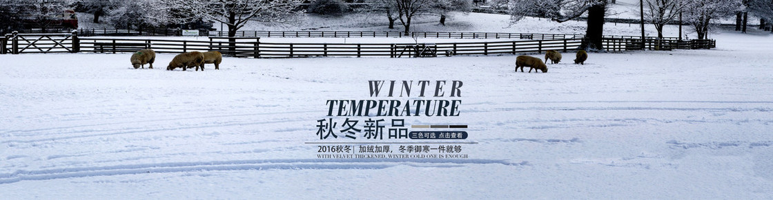 秋冬淘宝女装banner背景
