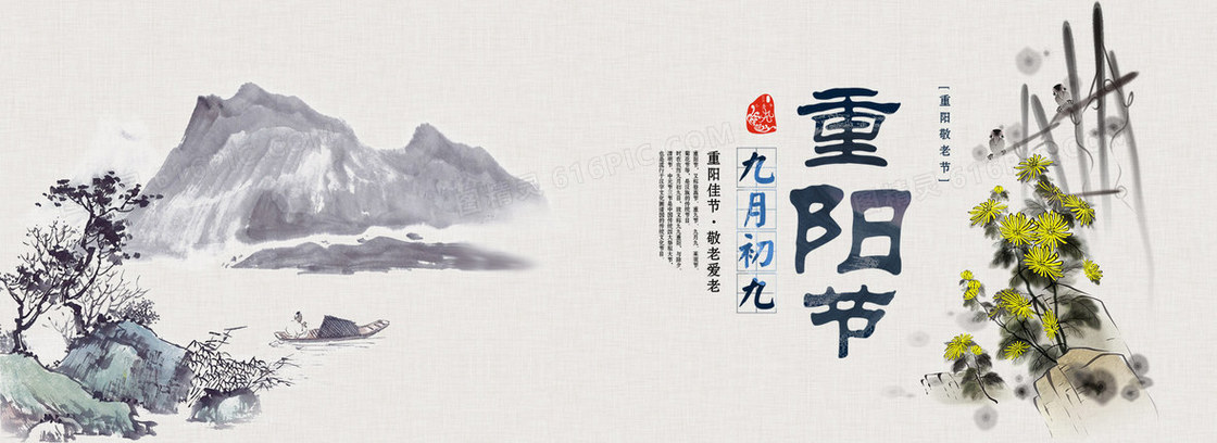重阳节菊花背景