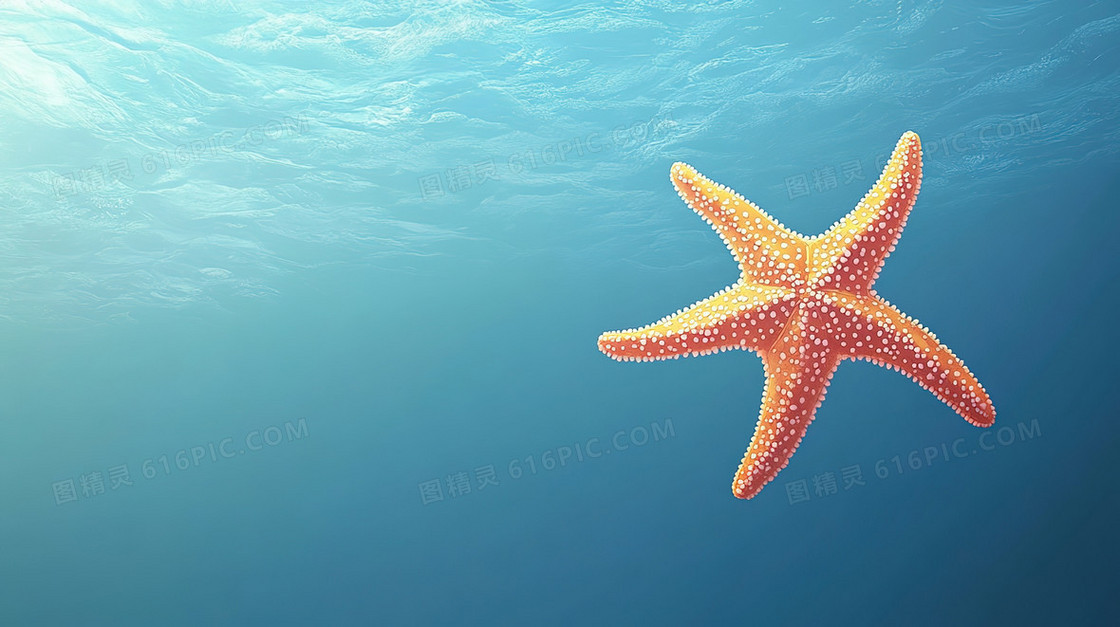 海洋动物海星简洁背景