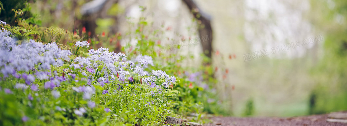 花草