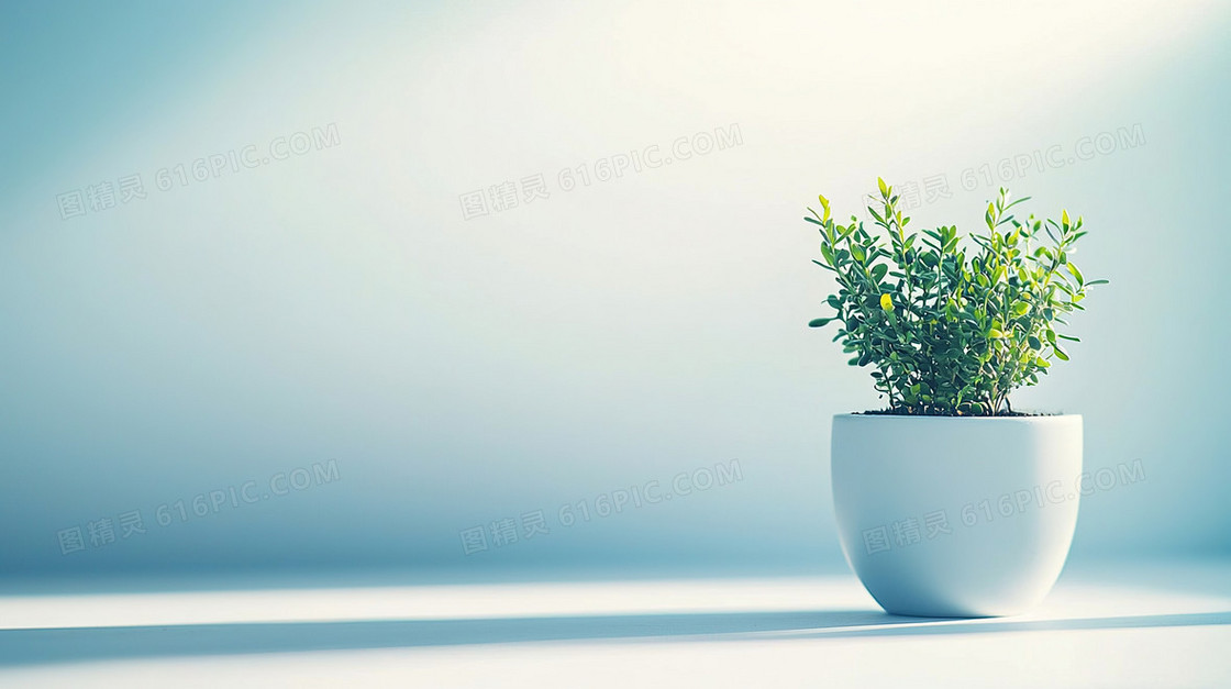 小清新绿植植物背景