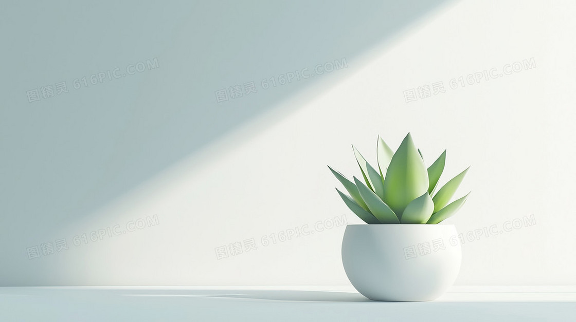 小清新绿植植物背景