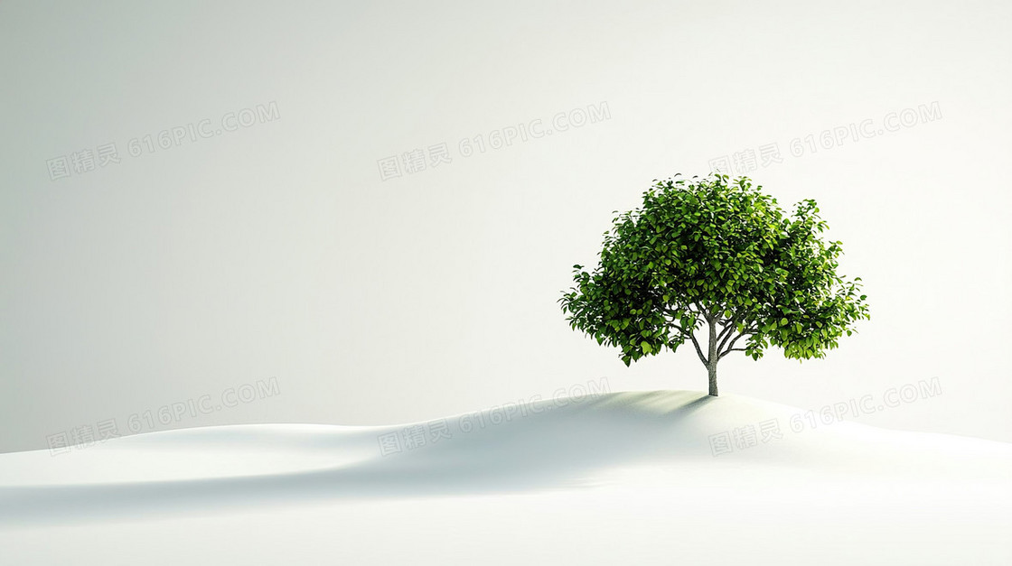 小清新绿植植物背景