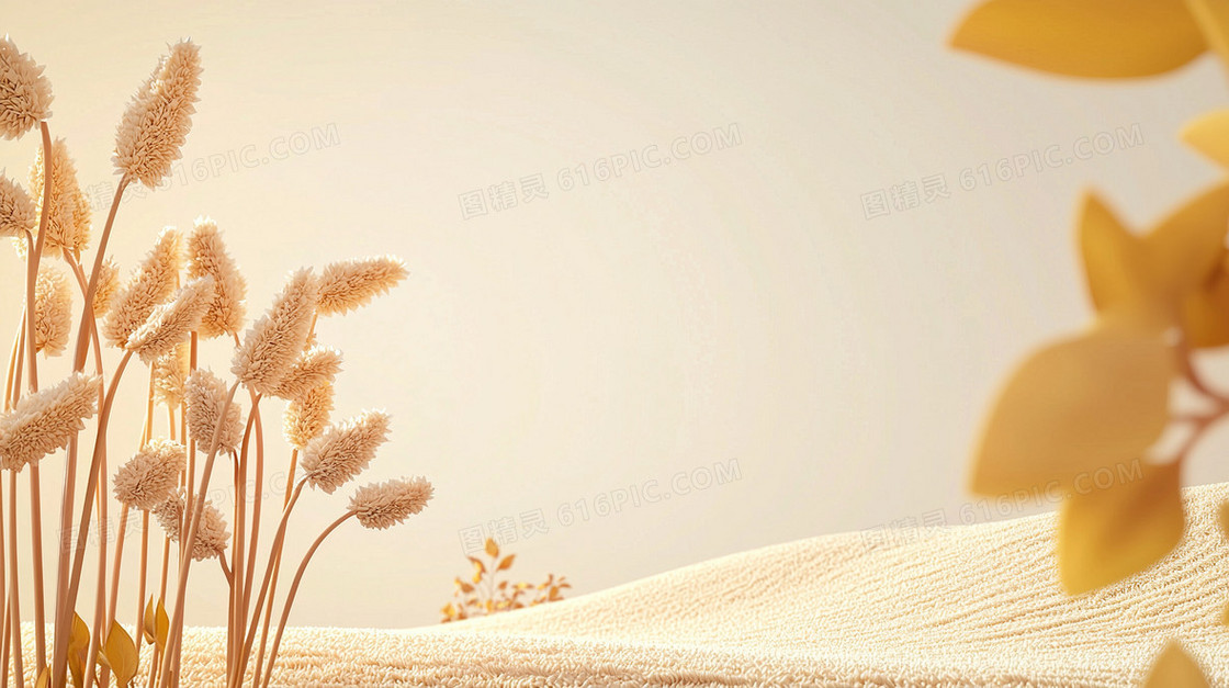 黄色兔尾草简约背景