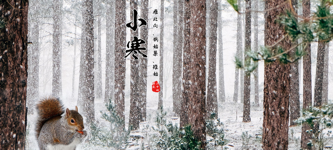 小寒节气中国风海报banner