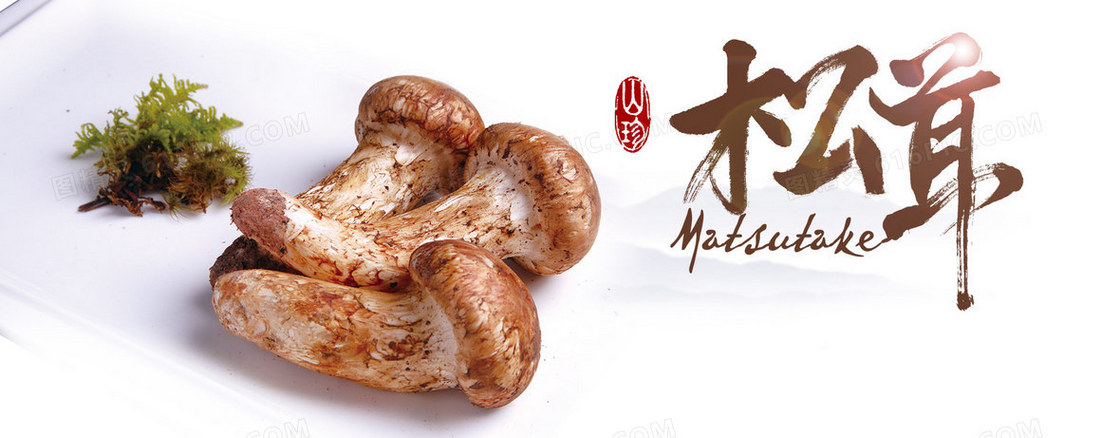 美食松茸背景
