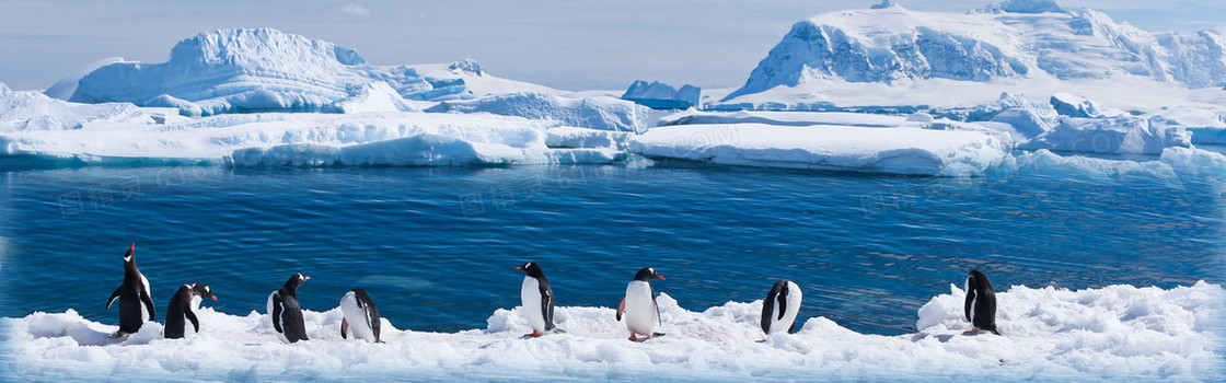 蓝色冰山企鹅背景