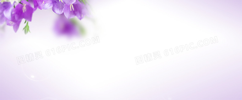化妆品海报背景