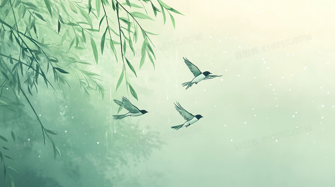 春雨杨柳飞燕背景