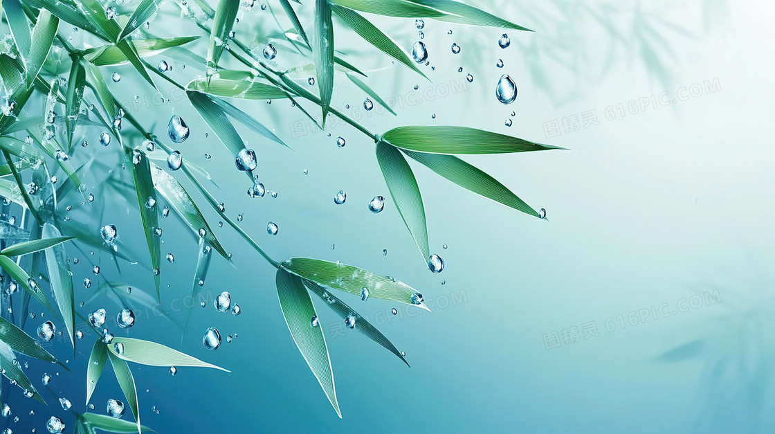 简约竹子露水背景