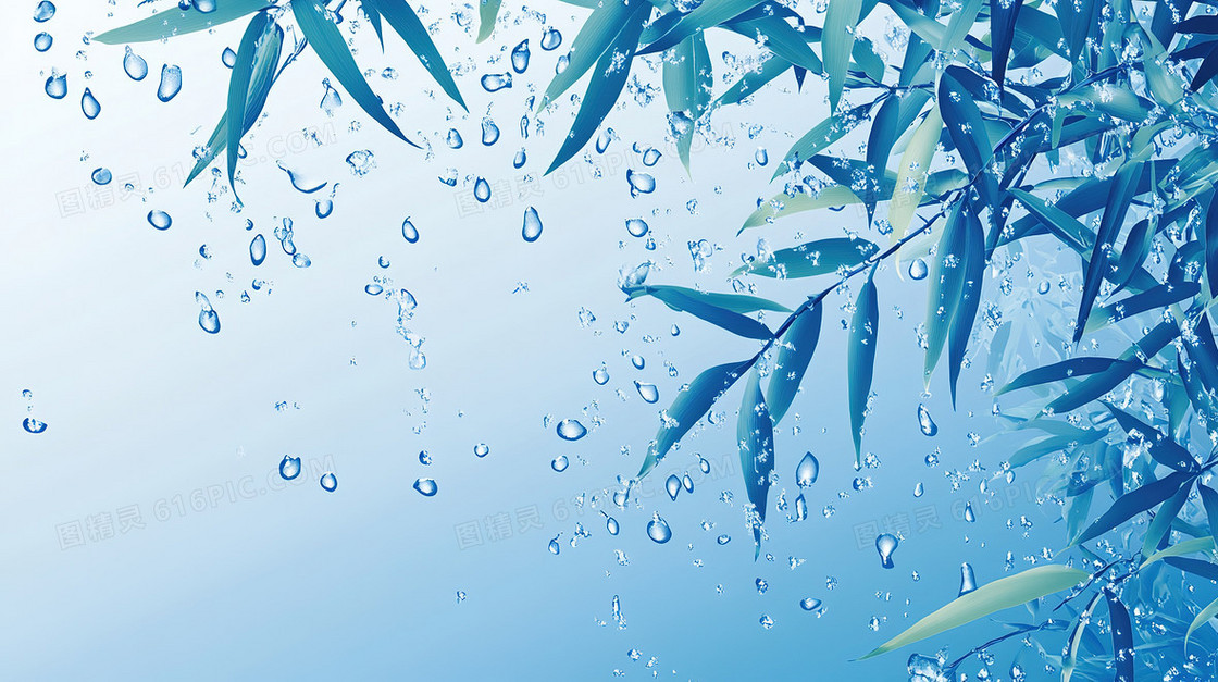 简约竹子露水背景