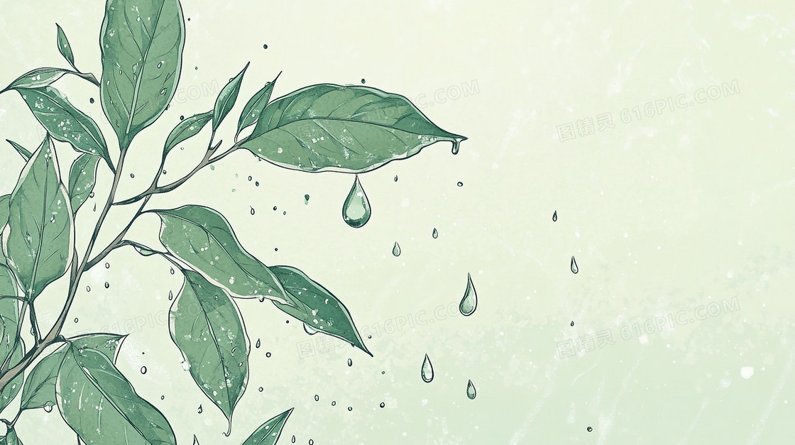 雨水植物简洁背景