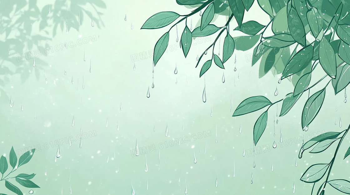 雨水植物简洁背景