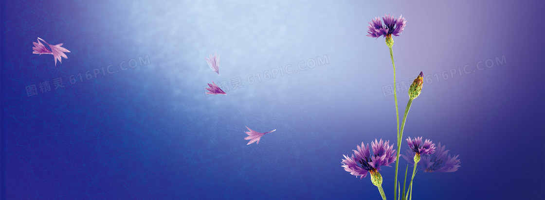 护肤品紫色花梦幻背景banner